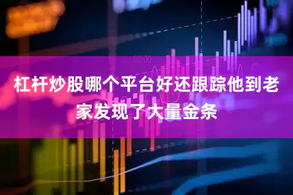 杠杆炒股哪个平台好还跟踪他到老家发现了大量金条