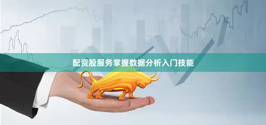 配资股服务掌握数据分析入门技能