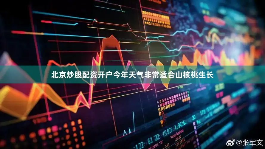 北京炒股配资开户今年天气非常适合山核桃生长